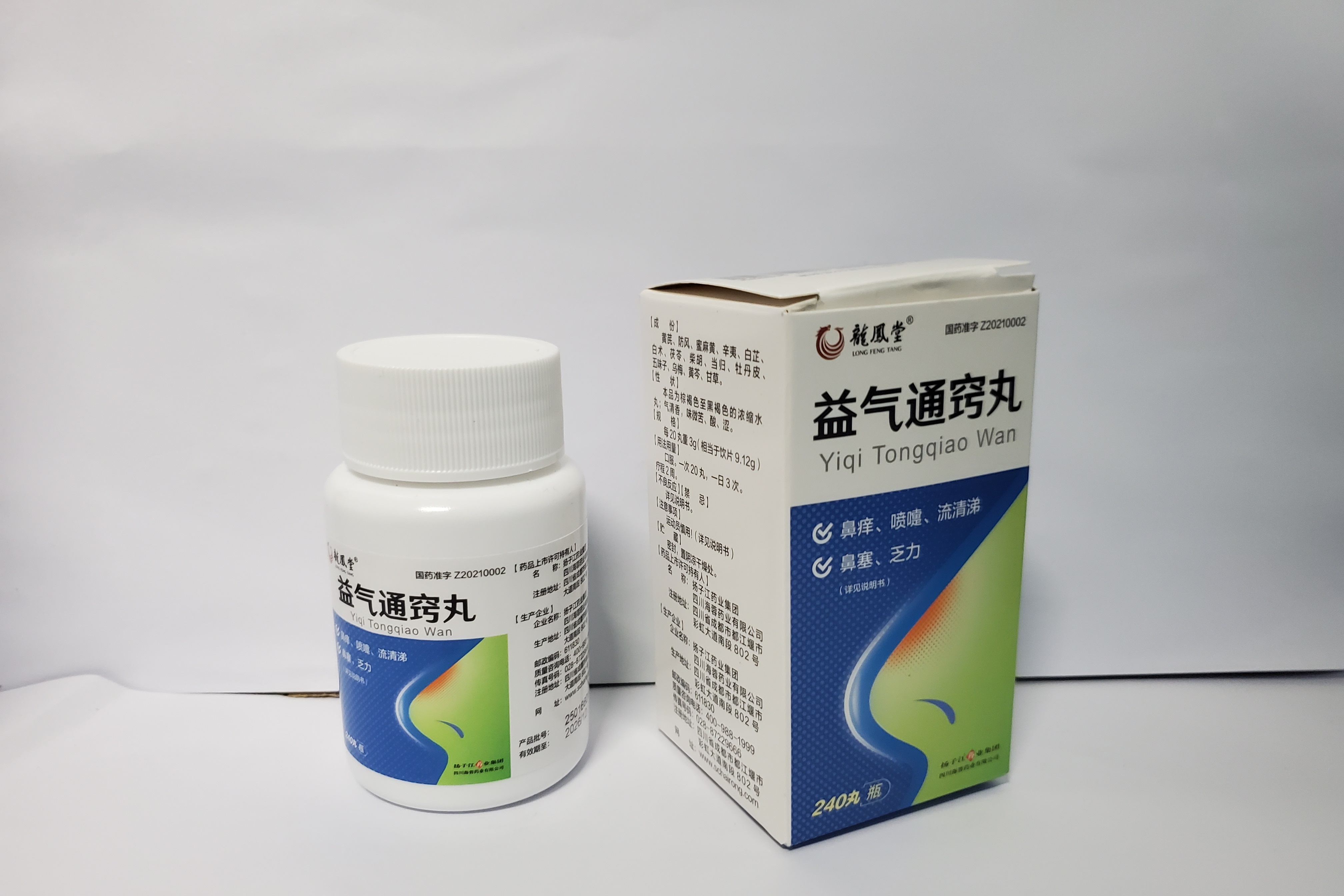 益气通窍丸